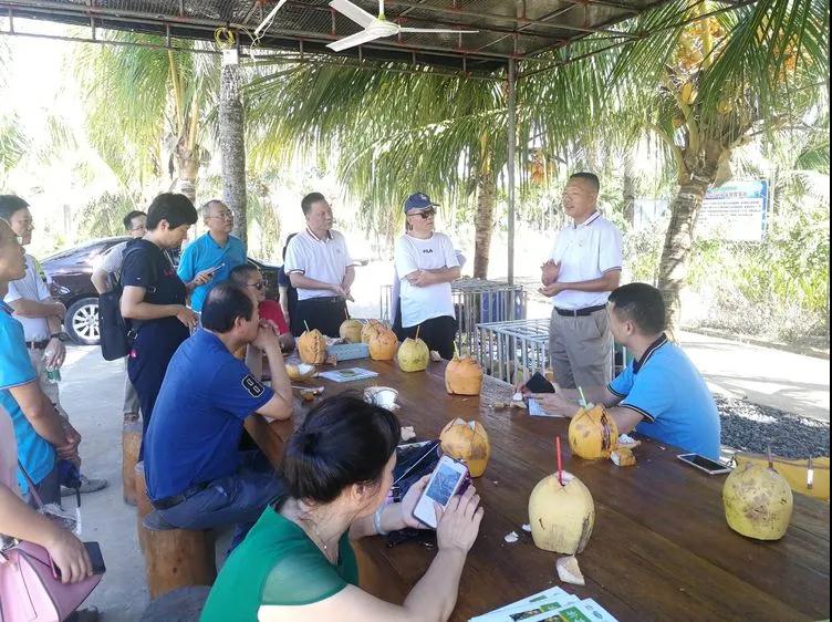 PA视讯官方网站