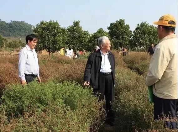 PA视讯官方网站