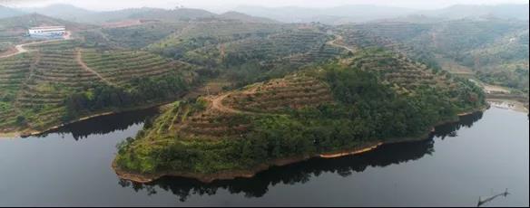 PA视讯官方网站